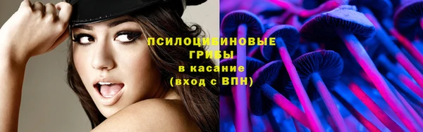 соль ск Волосово