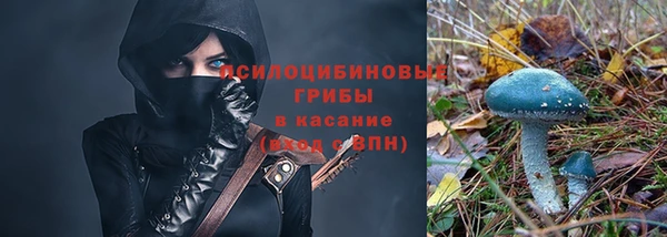 не бодяженный Волоколамск